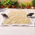 Food Drying Net with Zip Cover | Papad, Vadagam, Herbs & Spice Drying Cloth | Reusable Protective Net | 94 × 66 cm | Pack of 1